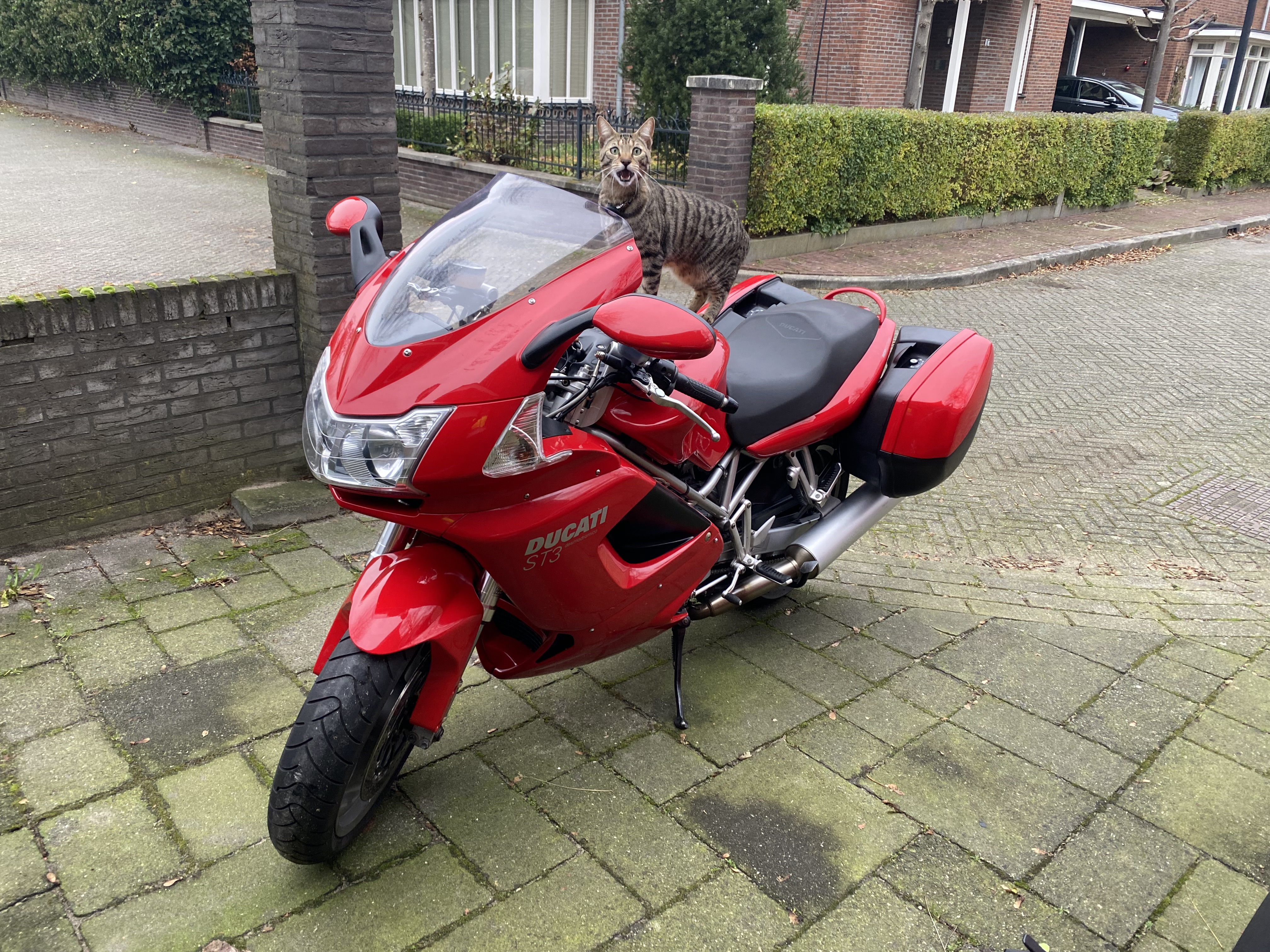 Ducati ST3